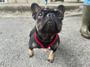 Louise on a walk