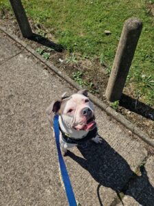 Joan on a walk smiling