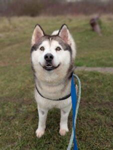 Full on front shot of beautiful luna 