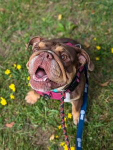 Frances on the grass