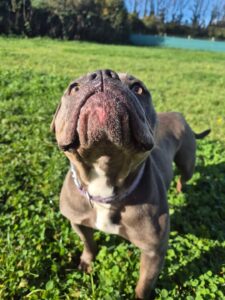 Cherie at the park