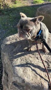 Climbing on the rocks 