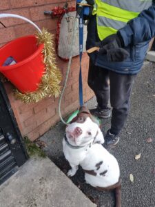 The magic bucket of endless treats 