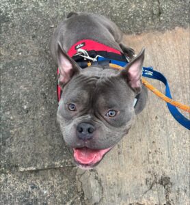 Big smile for a treat 